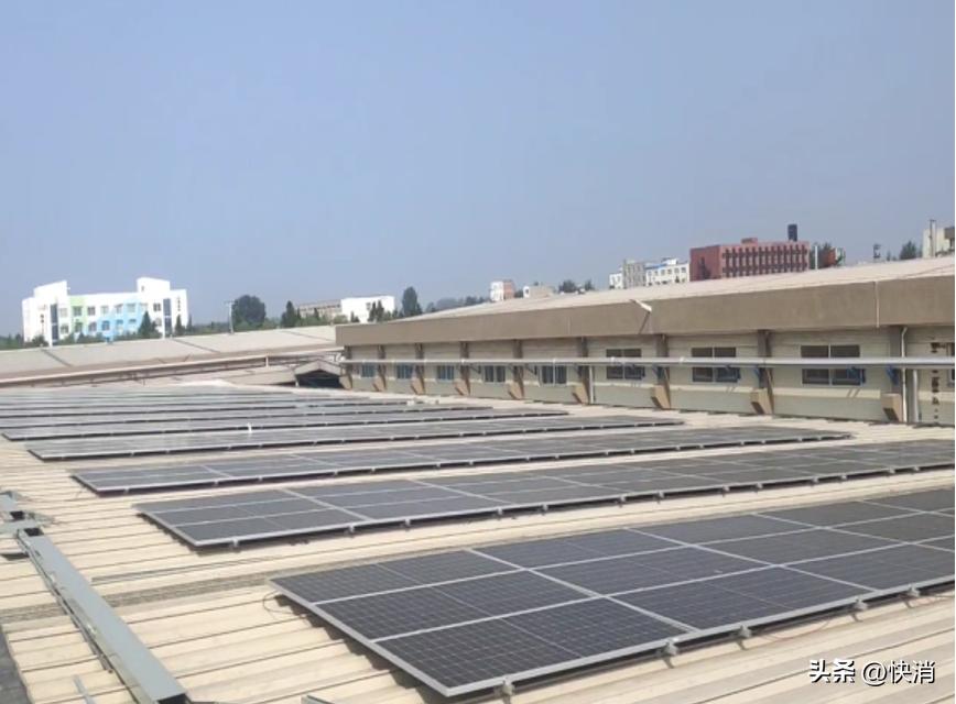 郑州统一:用自然的力量还自然的天空