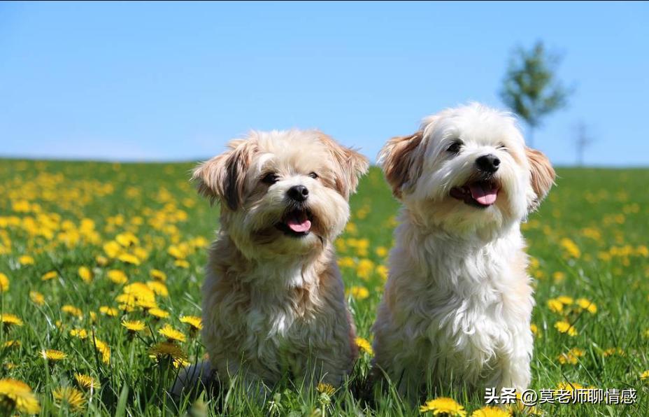 老公出轨有什么表现和特征,老公出轨的迹象有哪些表现