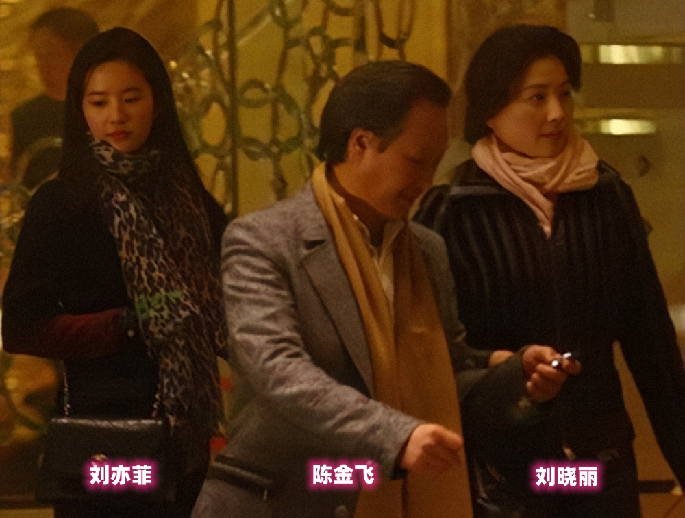 刘亦菲被欺凌,刘亦菲曾遭韩国人霸凌