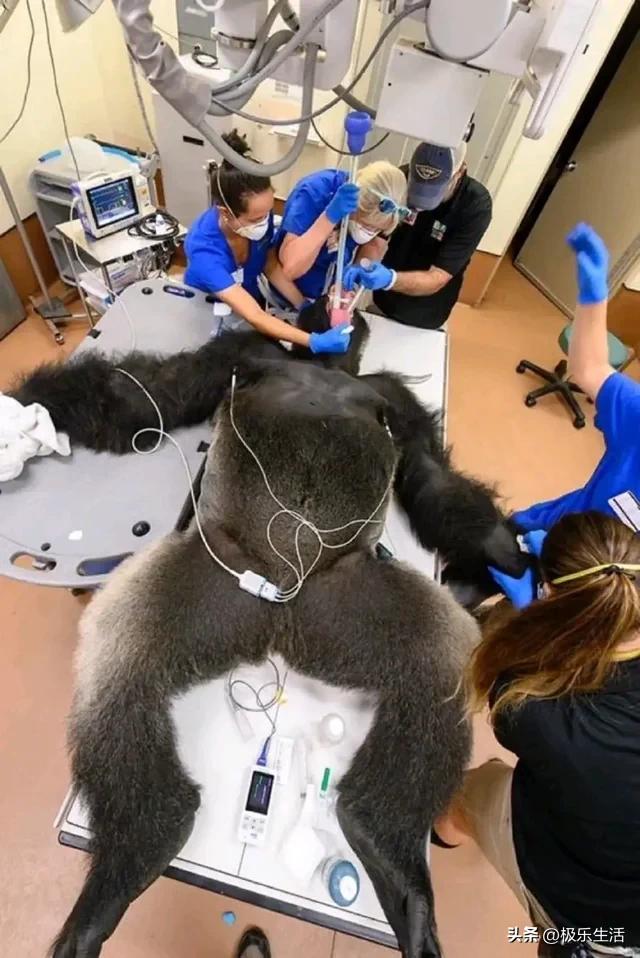 炎炎夏日给您带来视觉上的凉爽,发几张夏天炎热的图片