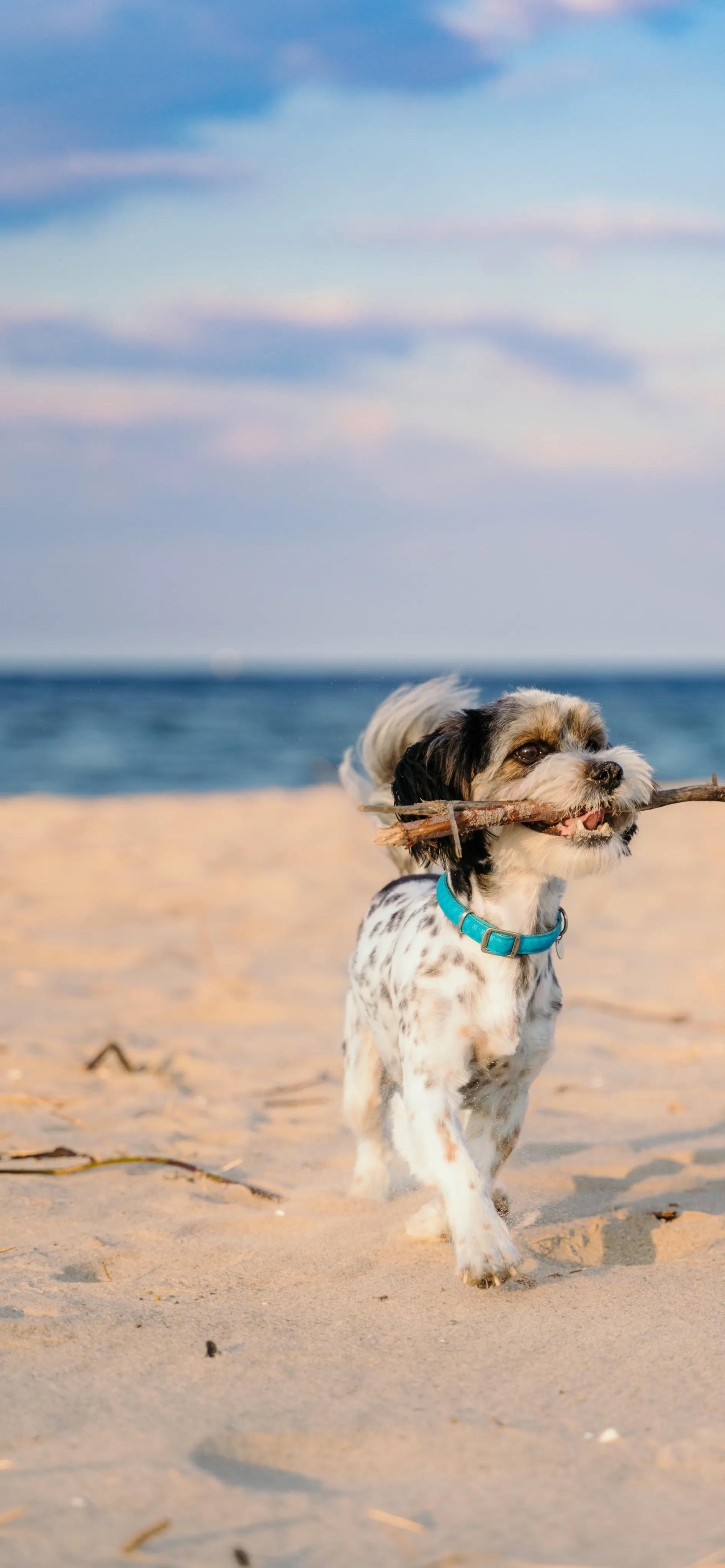海洋岛屿壁纸高清全屏,海浪沙滩壁纸全屏高清