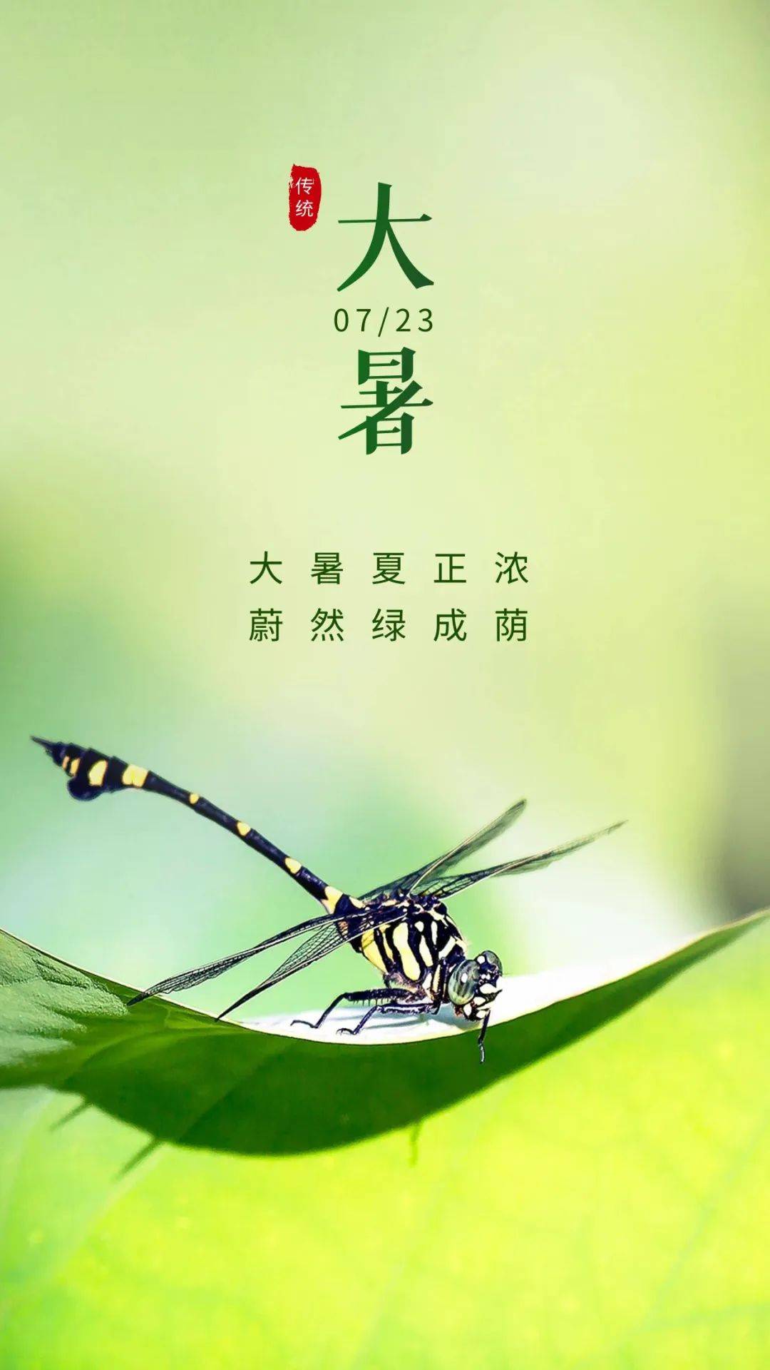 二十四节气小暑文案主题横图,大暑朋友圈清凉文案海报