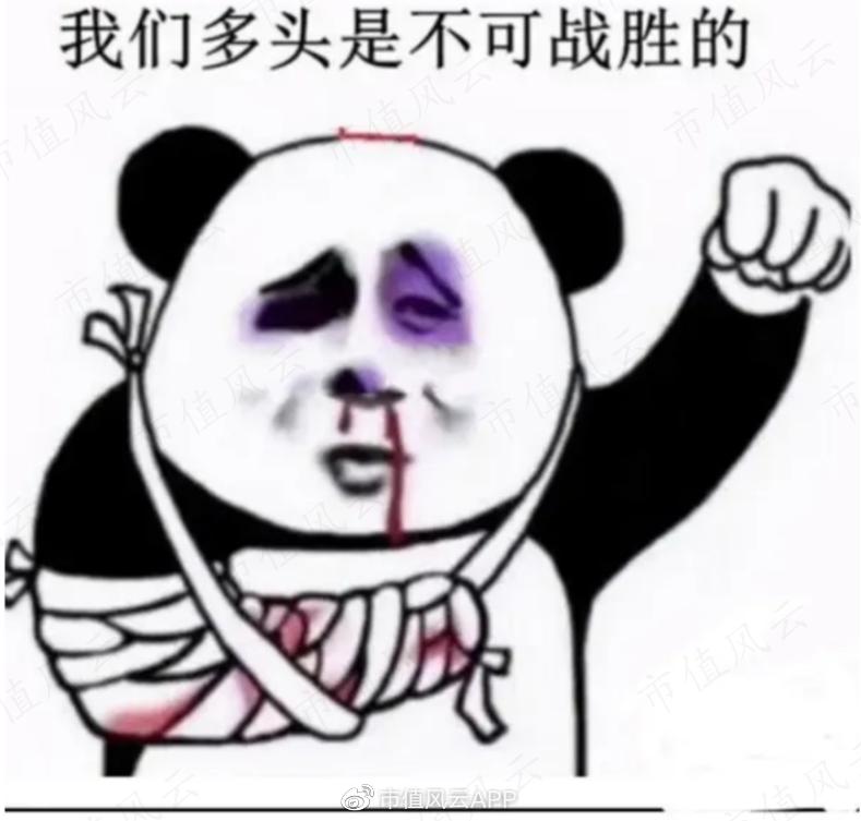 中国qdii基金,我国qdii可以投资的有