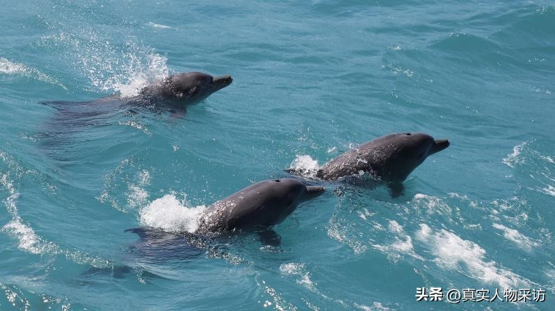 做海员究竟有多危险,出国当海员两年挣20万靠谱吗