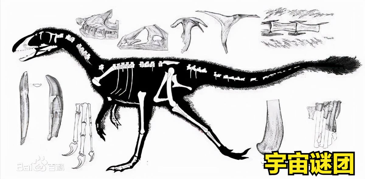 恐龙小百科认识更多的恐龙,恐龙大百科里有什么没见过的恐龙