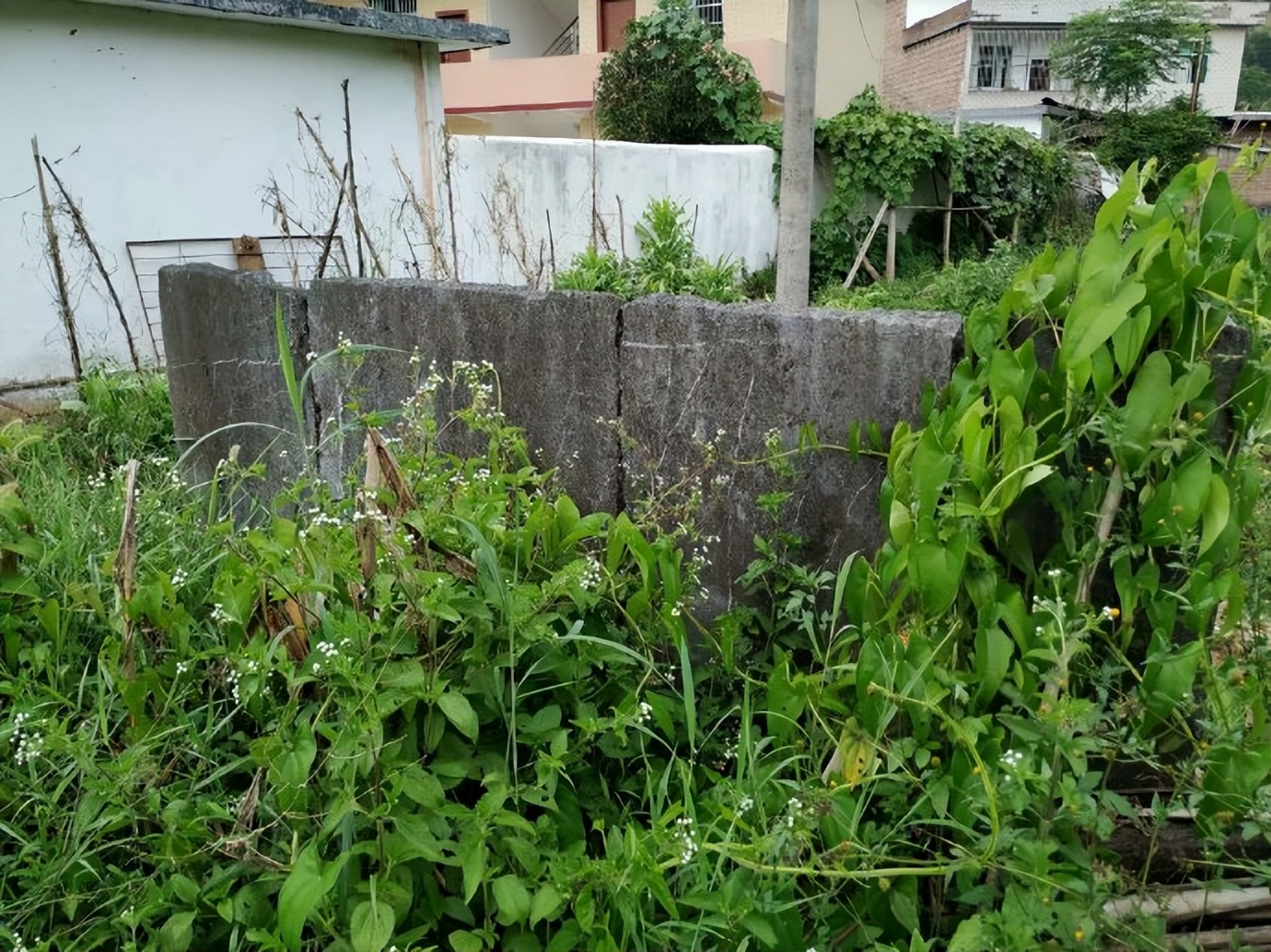 郴乐古道之水头江宜乐古道--广东省乐昌市庆云镇