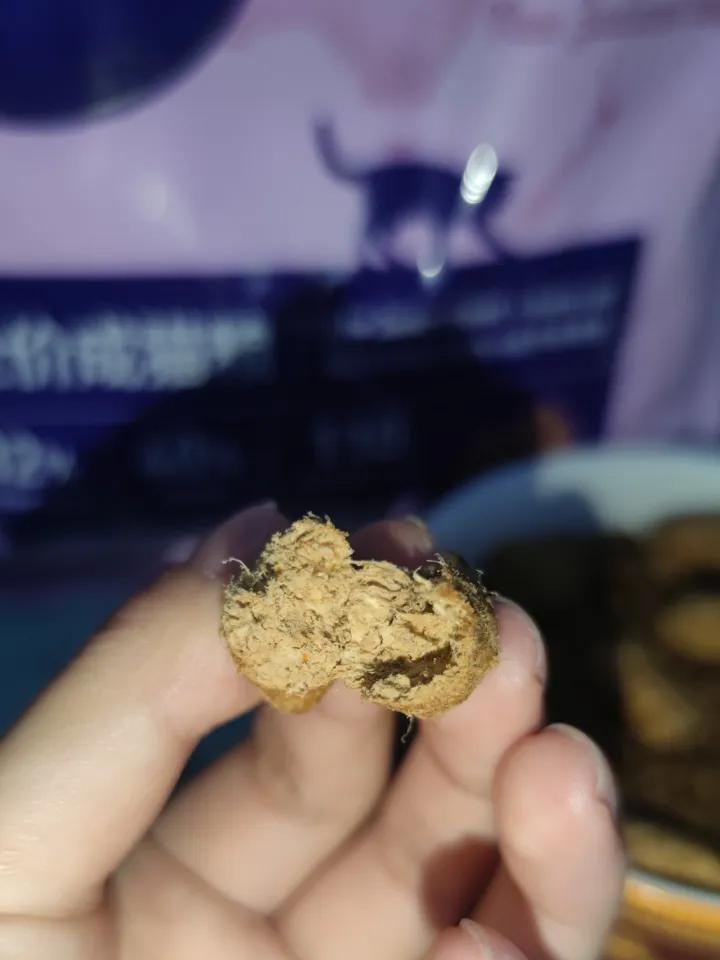 大猫总是咬主人怎么办,大猫老是咬新带回来的小猫怎么办