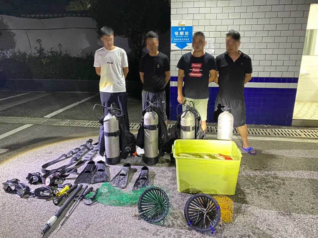 专业，潜水服都用上了！芷江4人潜水电鱼被抓