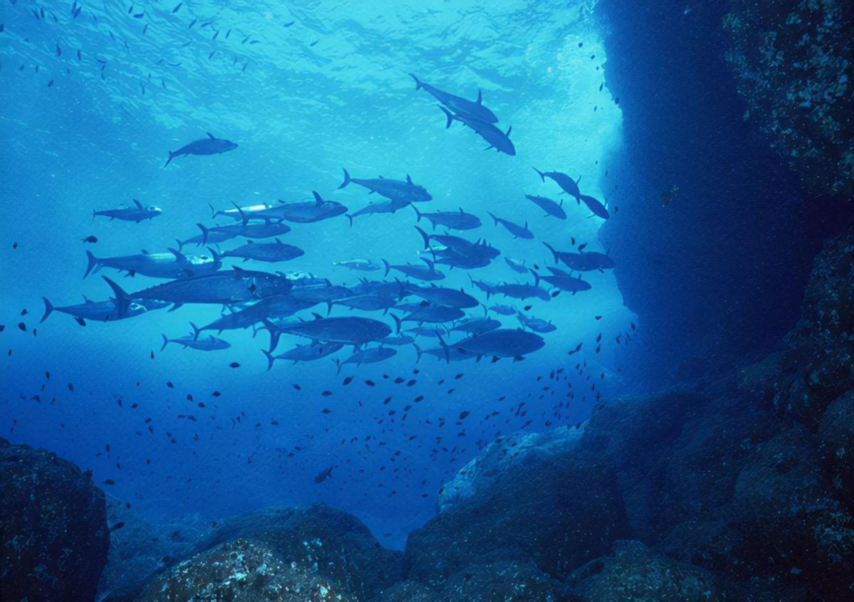 马里亚纳海沟底下的水有多少度,马里亚纳海沟最深处有海水吗