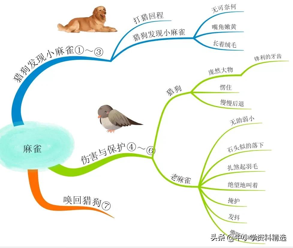 怎么画思维导图语文四年级上册,四年级思维导图语文简单漂亮上册
