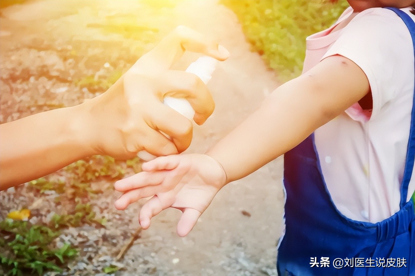 蜱虫可传播多种致命疾病,蜱虫叮咬可引起哪些疾病