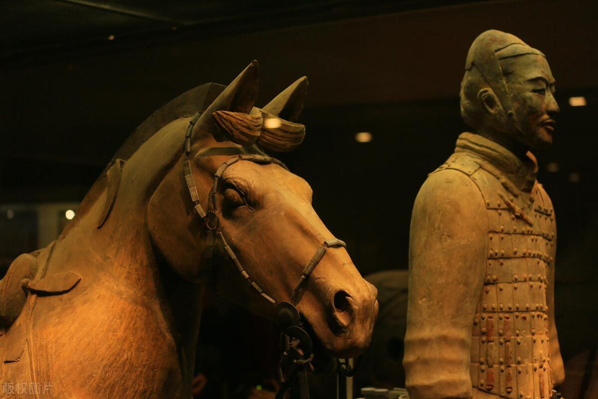 秦始皇兵马俑的整理过程和资料,秦始皇兵马俑的历史背景