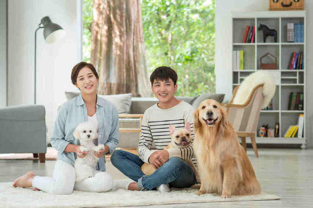 人养宠物盈利模式,300%利润宠物行业到底有多赚钱呢