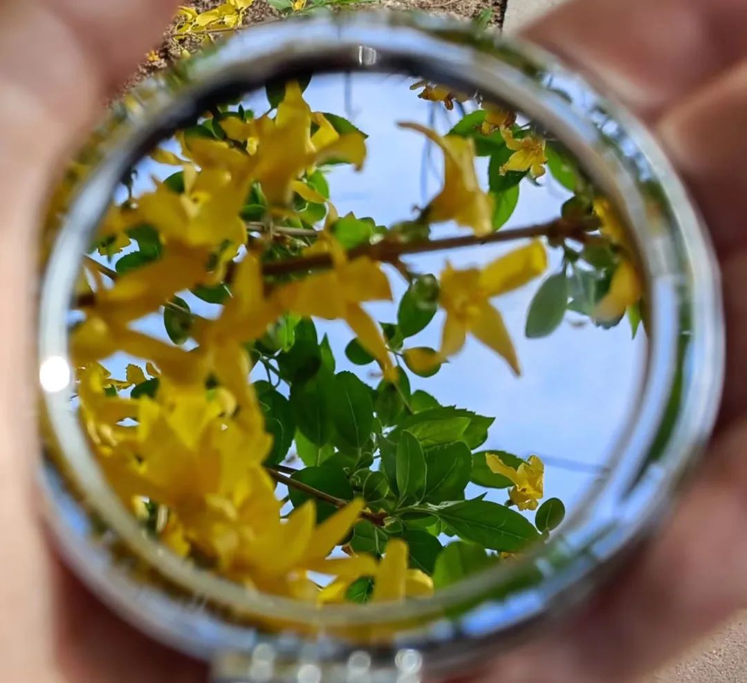 一探究“镜”!共赏镜子里的山中医