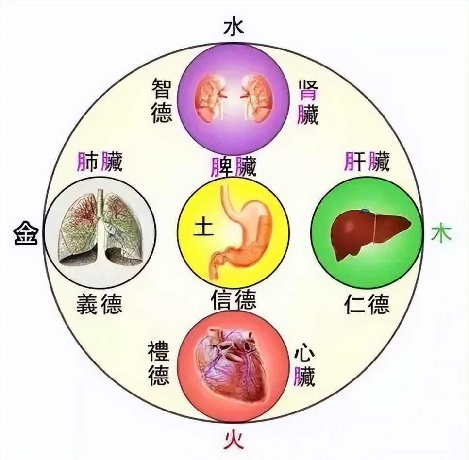 涓崕浼犵粺浜斿痉淇韩鏂囧寲,鍎掑淇韩浜斿痉