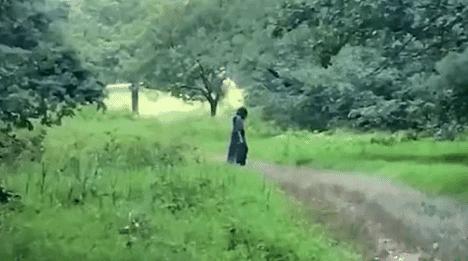 閲忓瓙鍔涘杞欢鎺ㄨ崘,閲忓瓙鍔涘杞欢