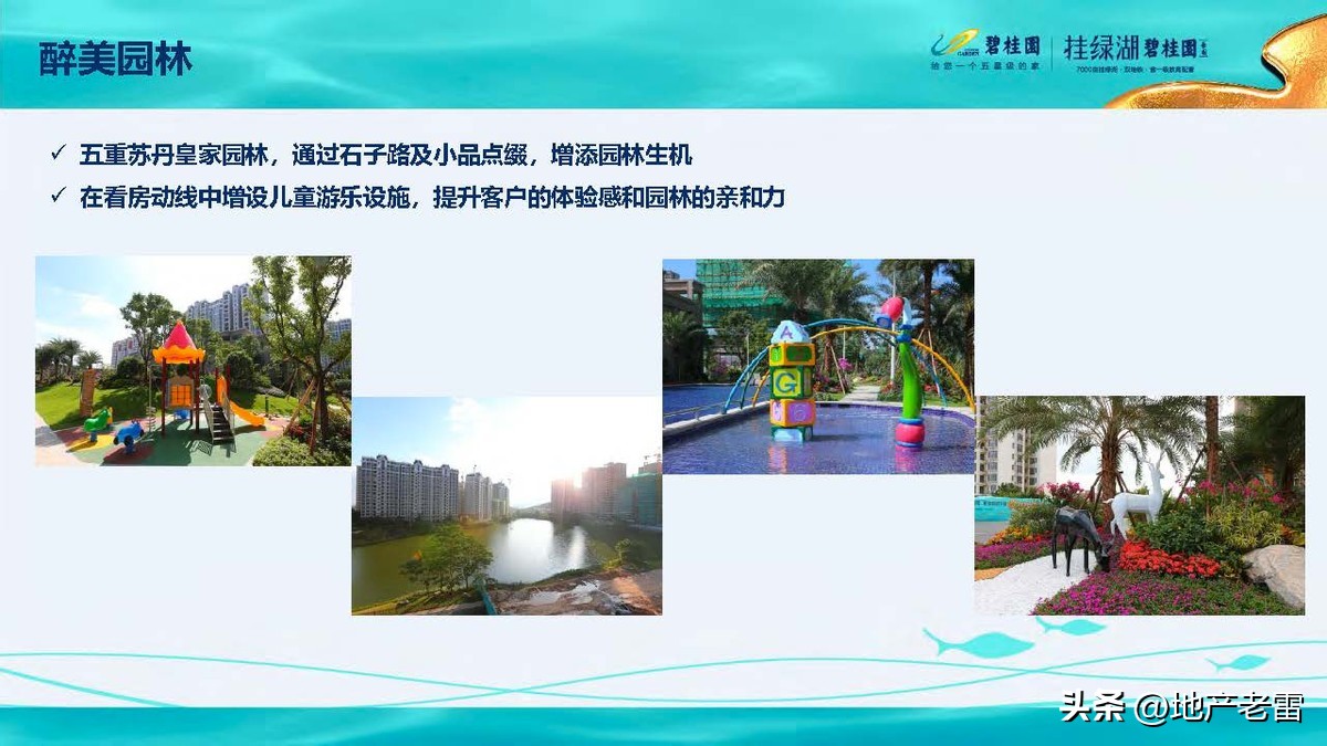 碧桂园精准发展方案,碧桂园的商品房改造方案