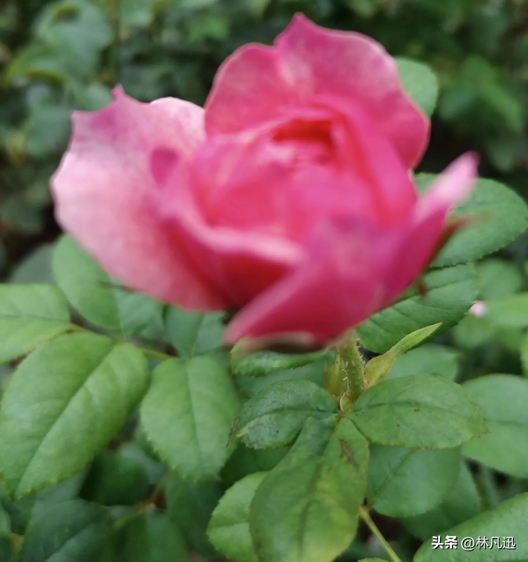 炒股最主要技术指标,炒股主升浪最佳战法