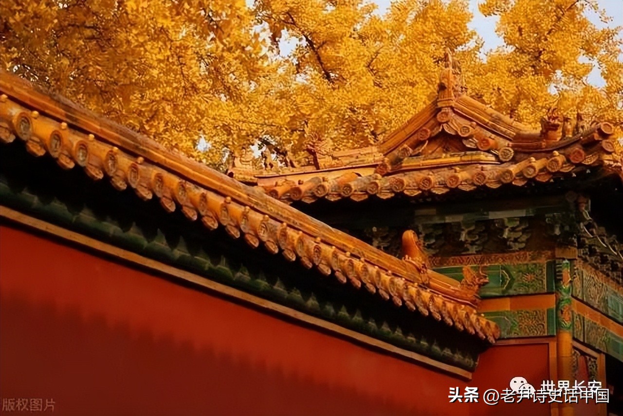 讲清朝十二帝真实的历史,清朝十二帝历史讲解详细