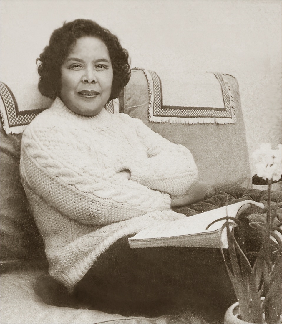 李梓鼎配音完整版,李梓配音经典视频