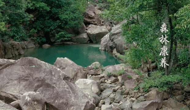 广州室内避暑的地方,广州夏日避暑胜地