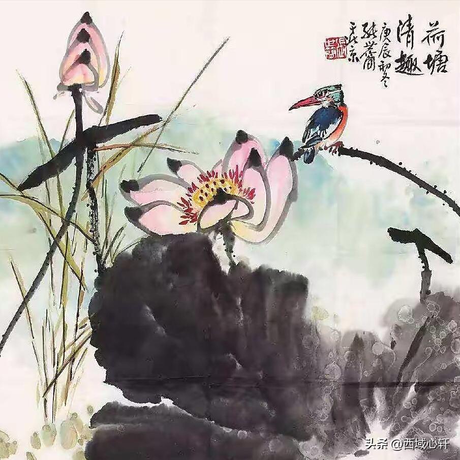 接天莲叶无穷碧映日荷花图片大全,莲叶无穷碧映日荷花别样红三幅图