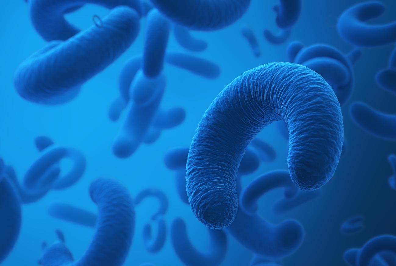 擦了大半辈子的屁股，竟然都擦错了！想要屁股健康，这4点要注意