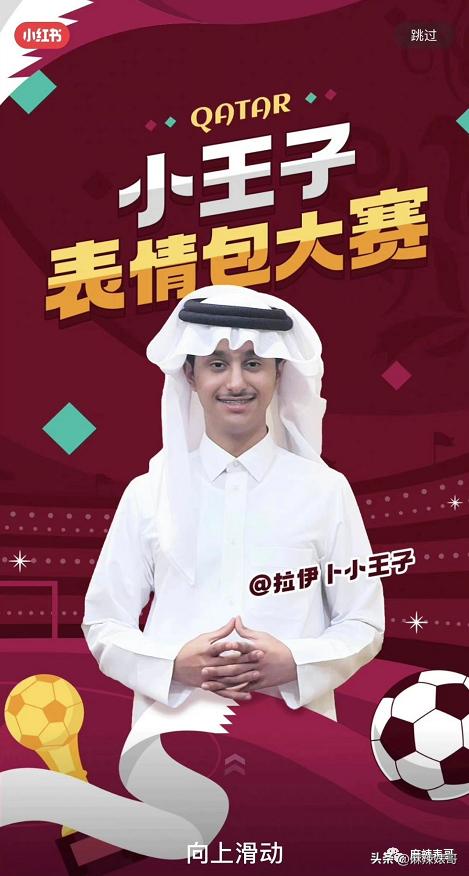 金晨模仿卡塔尔小王子晒照,金晨模仿卡塔尔王子被起诉了吗