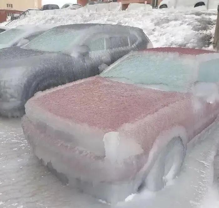 为什么貂皮不流行了,为什么现在羊毛大衣没人买