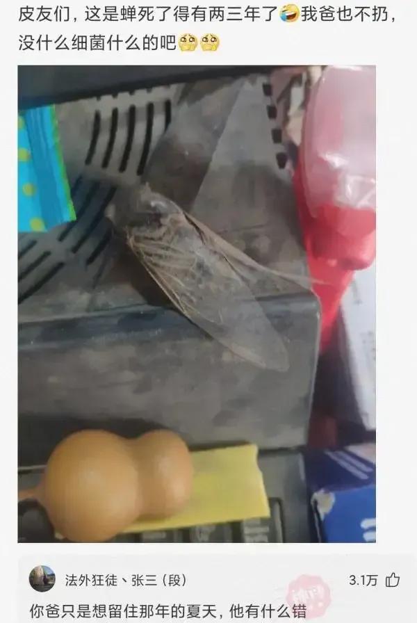 室友一支口红就是我一个月生活费 (一根口红一个月生活费)