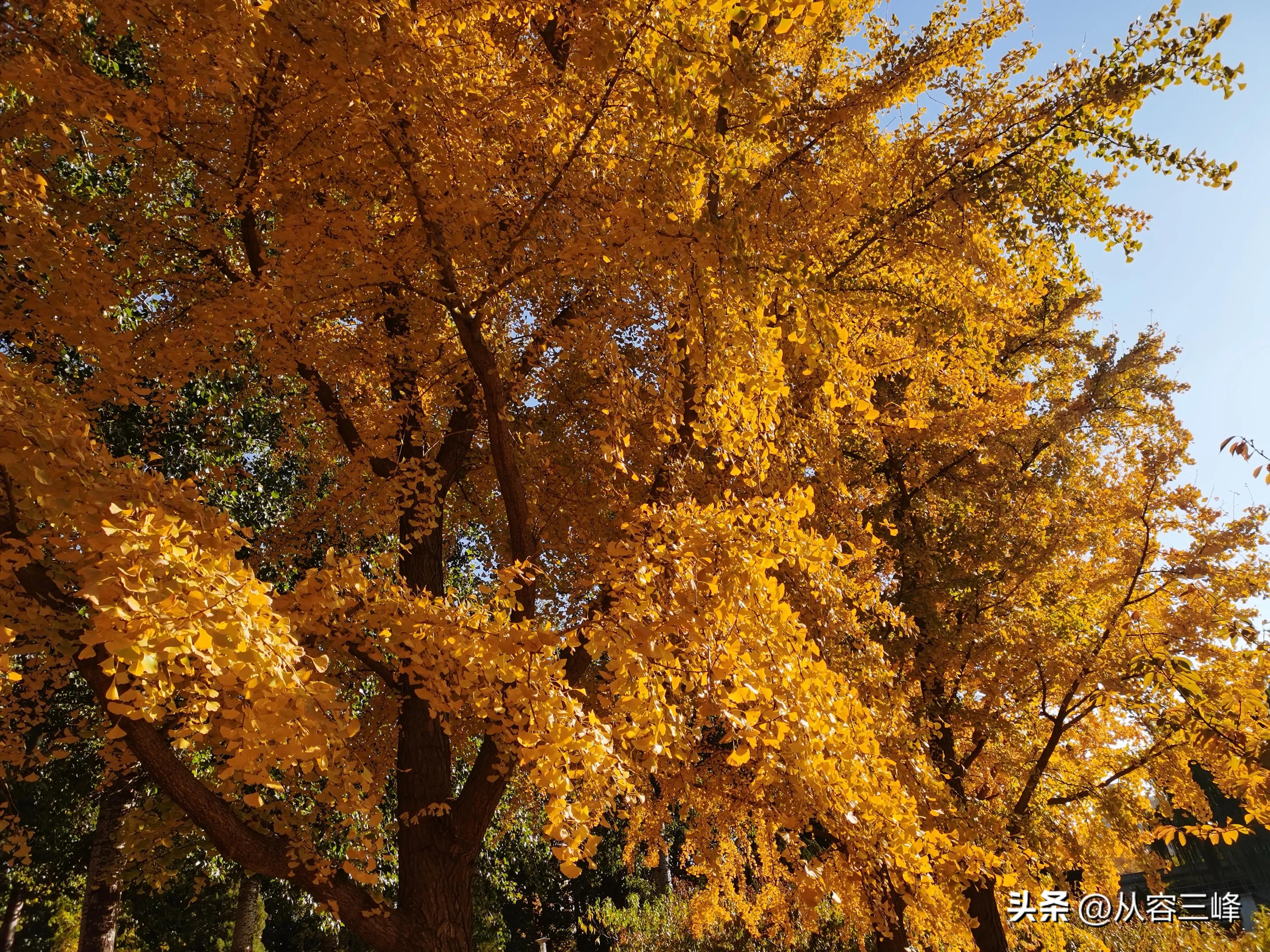 遇见好医生三生有幸,遇见一位好的中医大夫