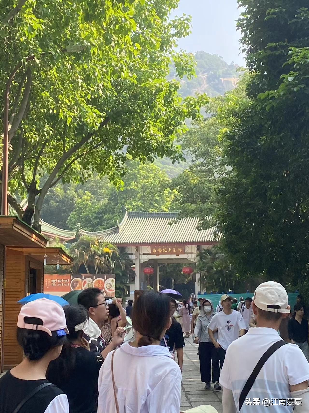 为什么那么多人选择去厦门旅游,浙江海岛和厦门哪里值得去