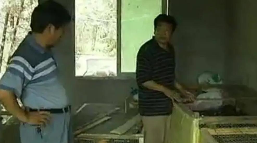 四川富翁撇下百万家产，携小29岁娇妻进深山，6年后又致富百万