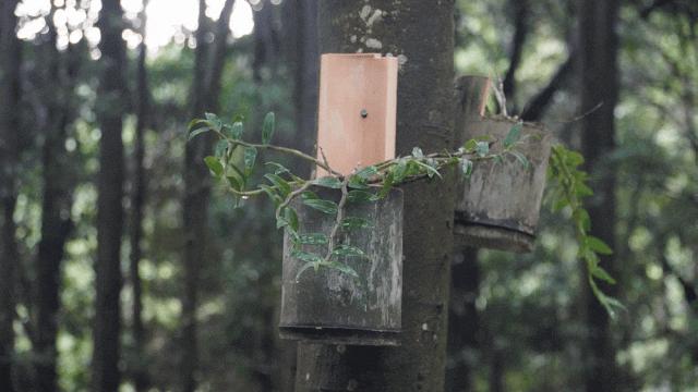元旦闽侯周边一日游,闽侯周末游