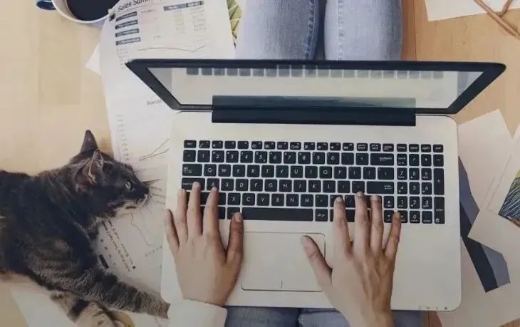 疫情人力资源管理现状及解决思路,疫情期间人力资源如何应对