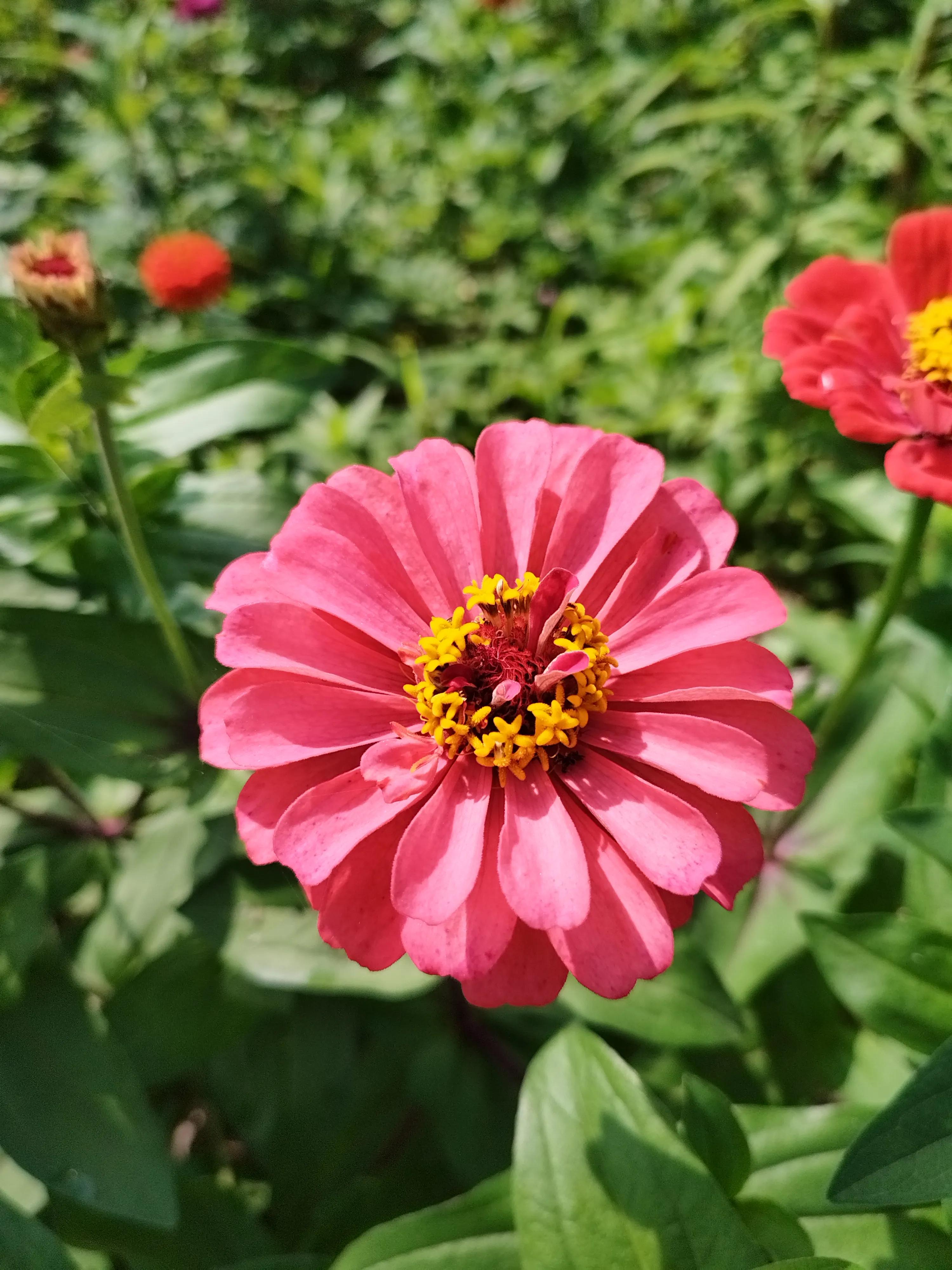 回娘家买什么礼物端午节,端午回娘家送什么