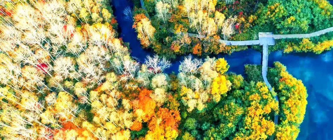 春节长白山亲子游攻略,春节假期游长白山