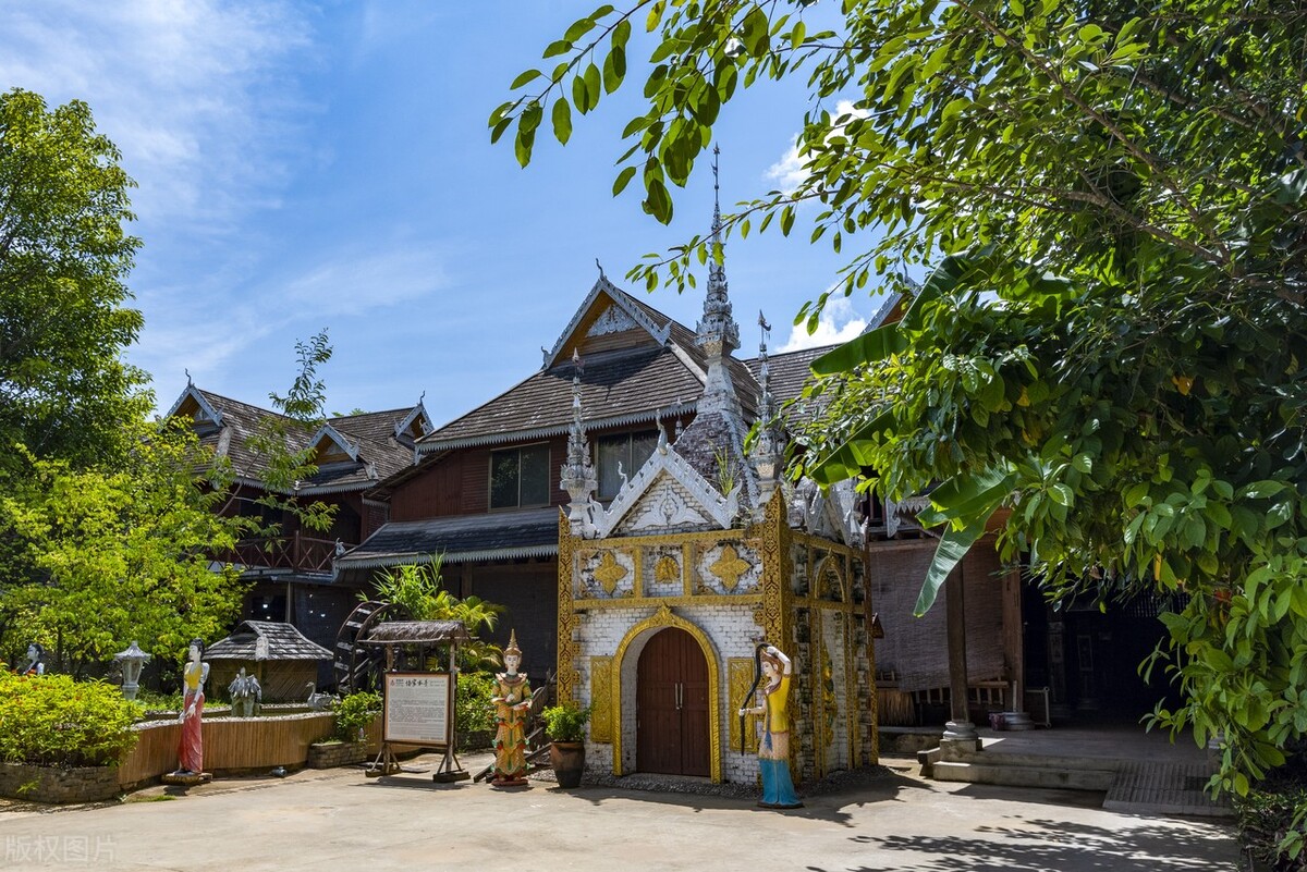 西双版纳望天树景区与热带植物园,西双版纳值得去的四个旅游景点