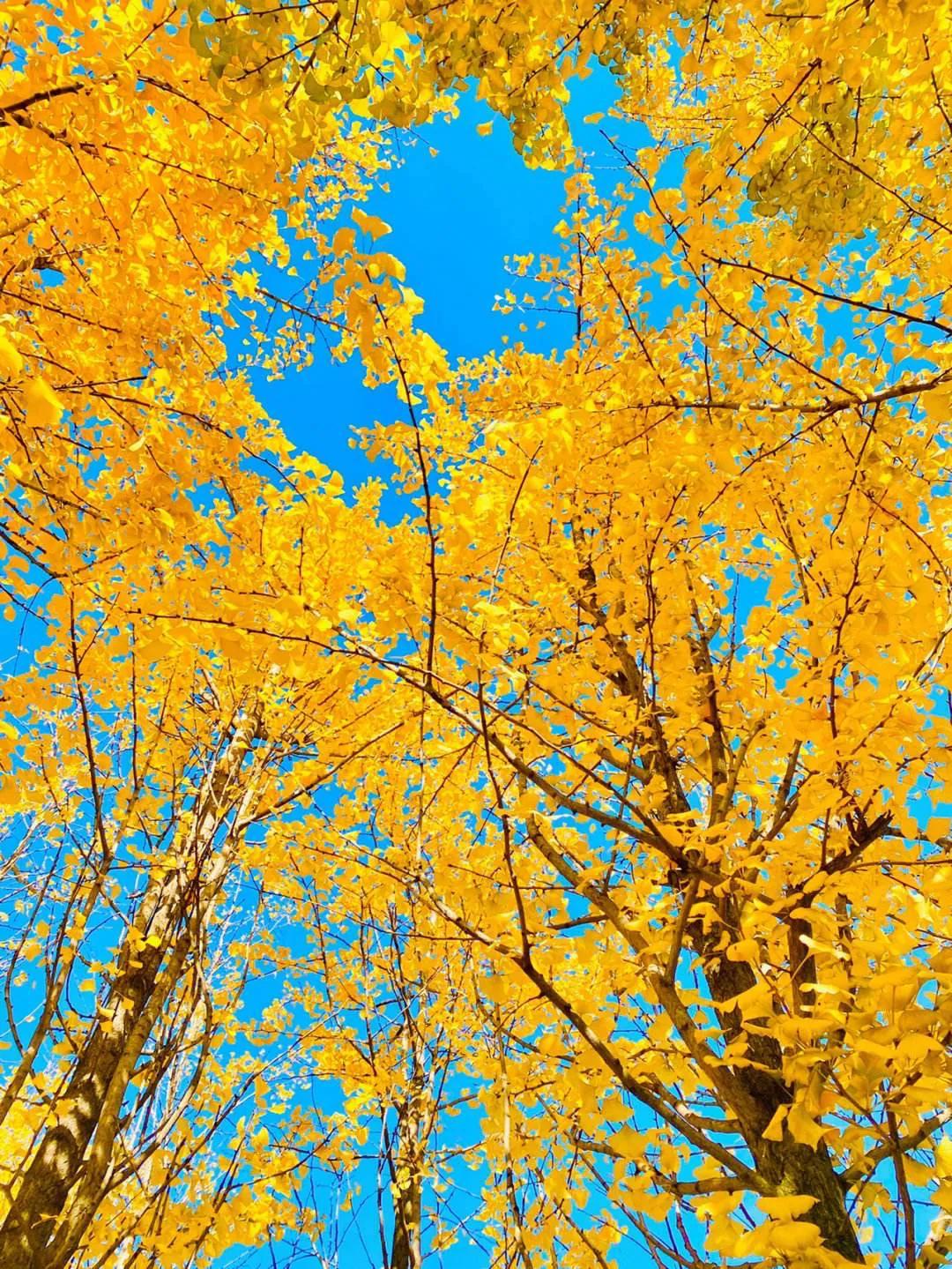 200条实用心理学小知识,实用200条心理学视频