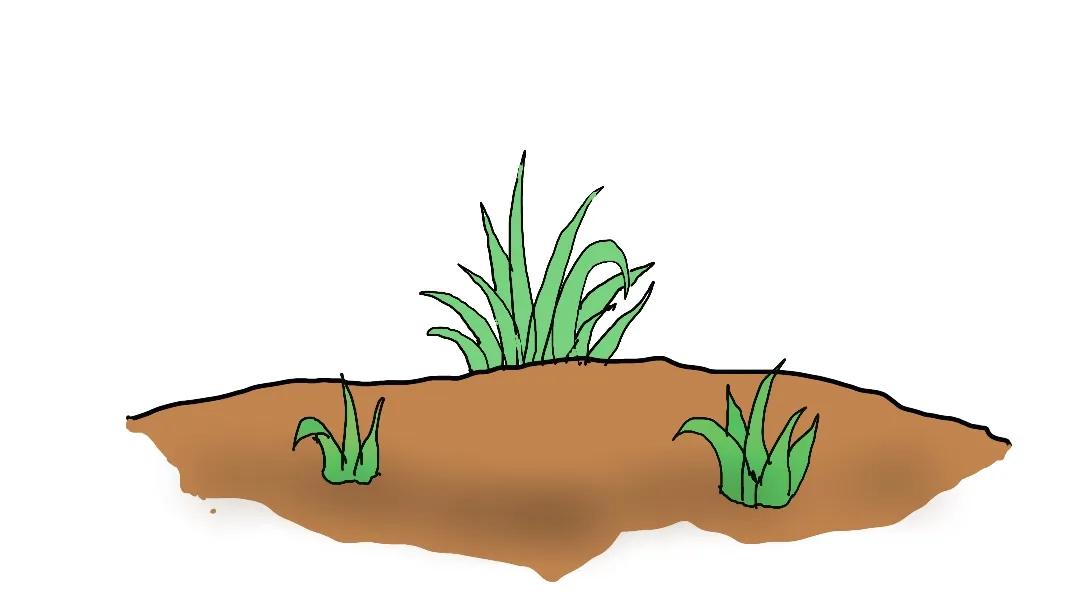 百草枯危害动画,百草枯的危害动画