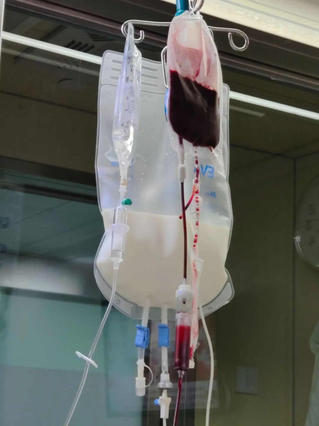 2月，终于可以尽情生活