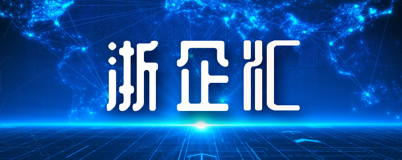 浙企汇|探秘国内IT信息服务的领先企业——浙大网新