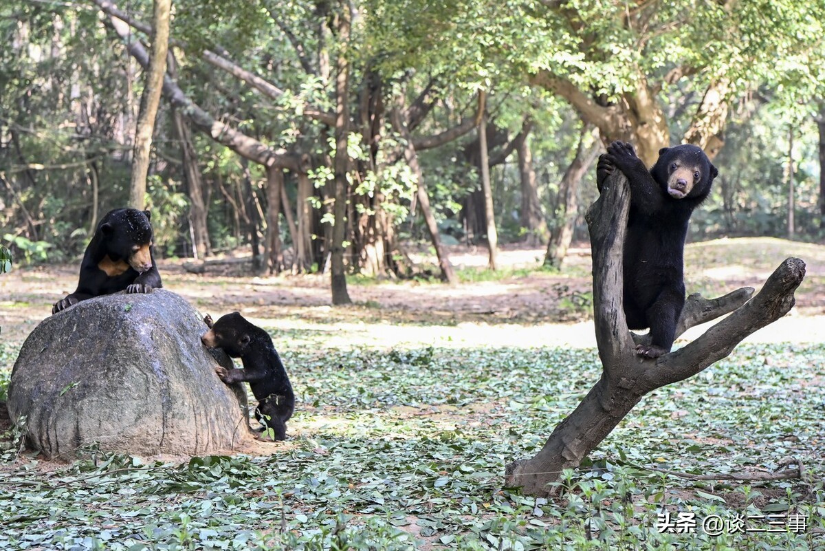 广州出发端午节自驾旅游景点推荐,广州从化旅游景点排名一览表