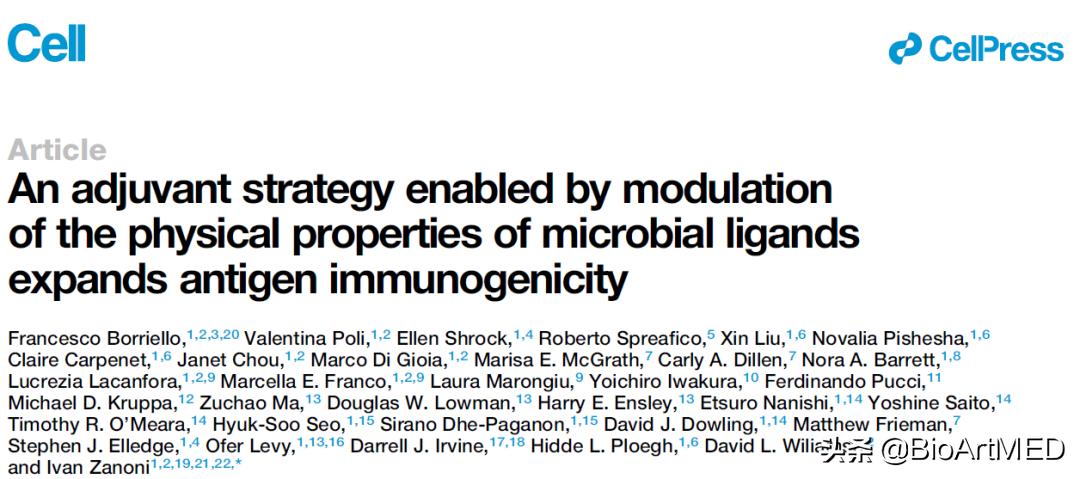 甘露聚糖凝集素作用,葡聚糖免疫调节剂