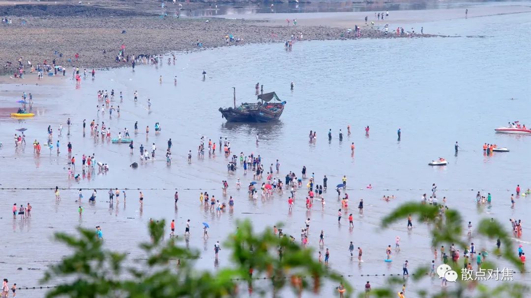 青岛最美摄影作品,青岛摄影师现状