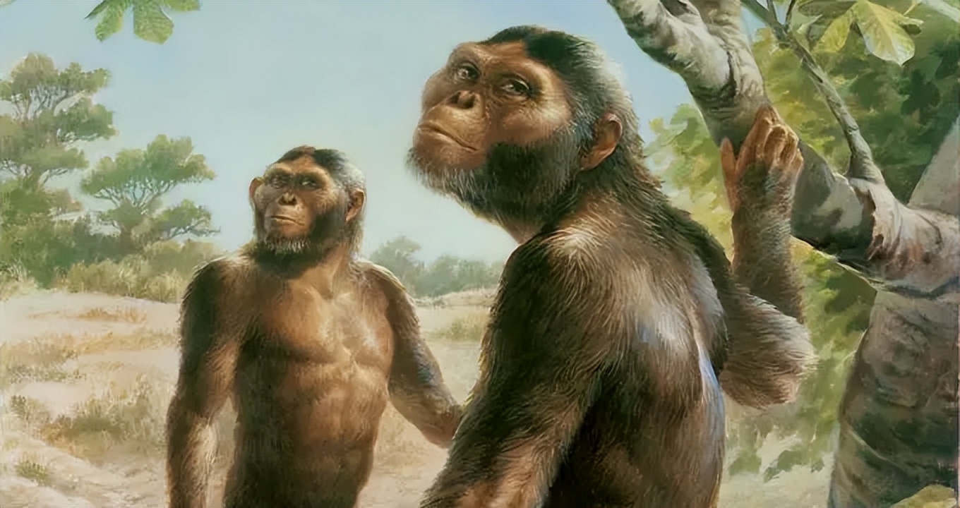 走出伊甸园,走出伊甸园是什么意思