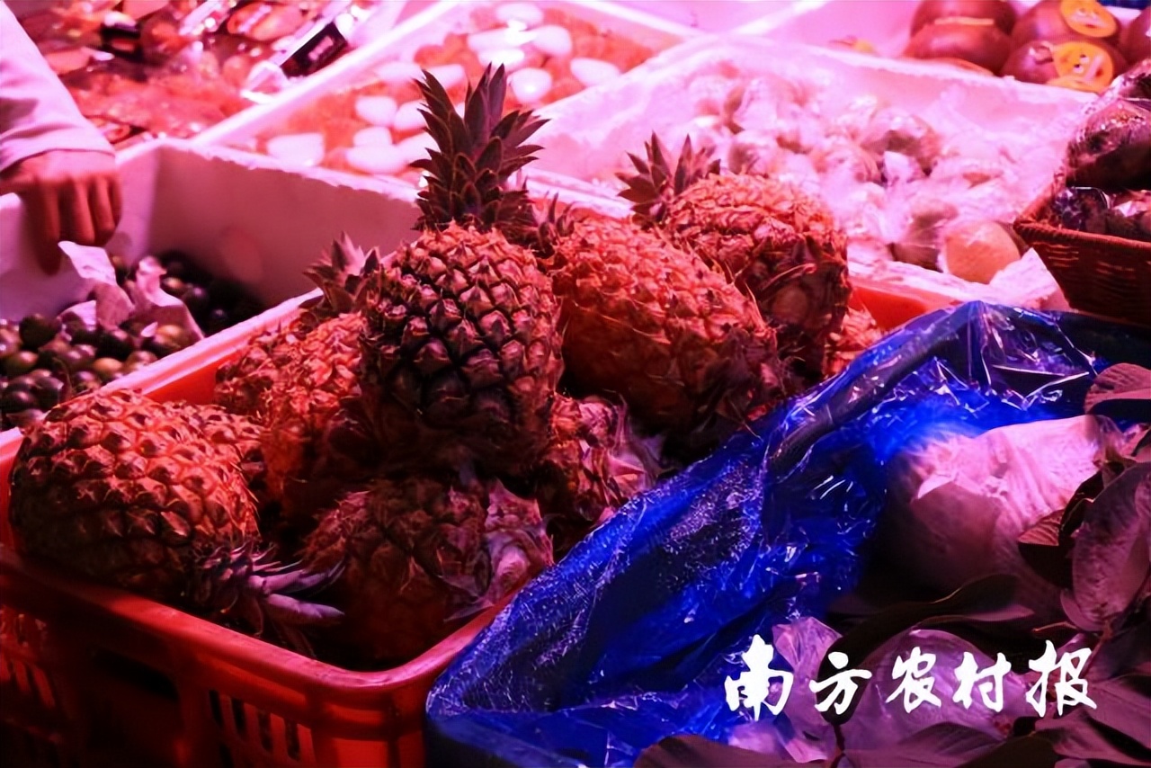 深圳海吉星菠萝一斤多少钱,平湖海吉星菠萝批发