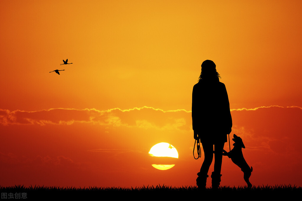 男主是推土机的后宫文,5本口碑炸裂的后宫文