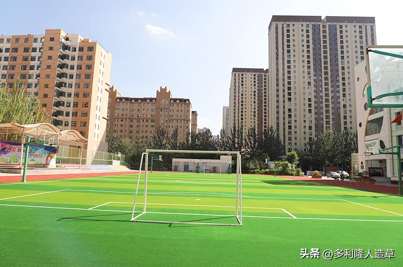 打篮球踢学校场子,打篮球踢馆体校