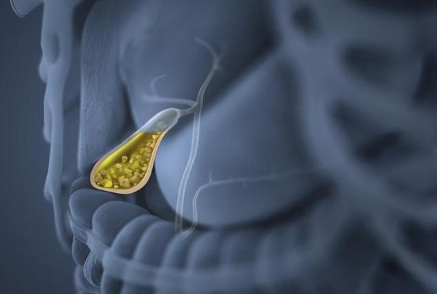 人体的汗液本身是什么味道的,人类身体各部位液体都是什么味道